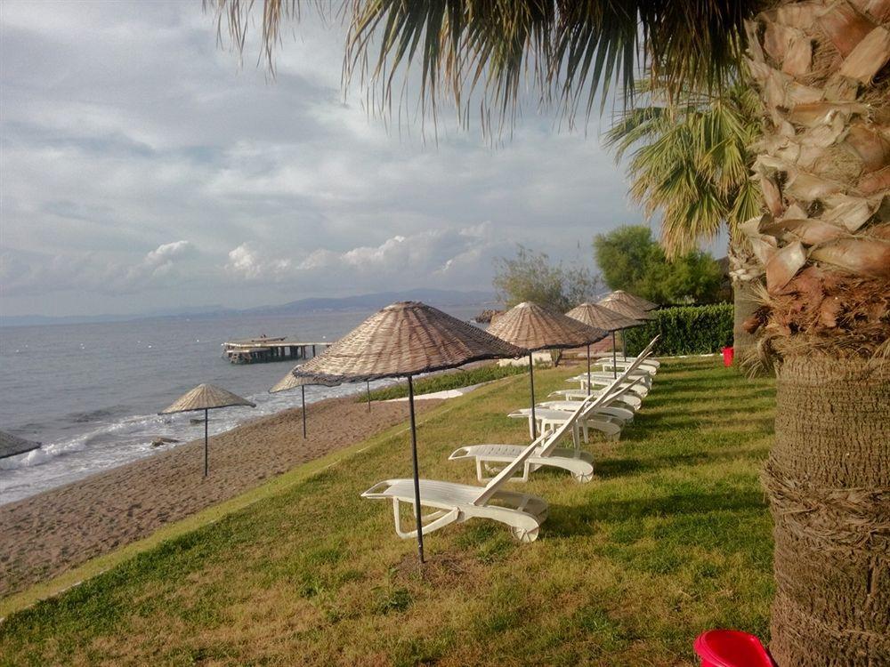Art Hotel Güzelçamlı Dış mekan fotoğraf